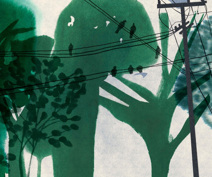 Gallery of Illustrations by amanda mijangos - Mexico
