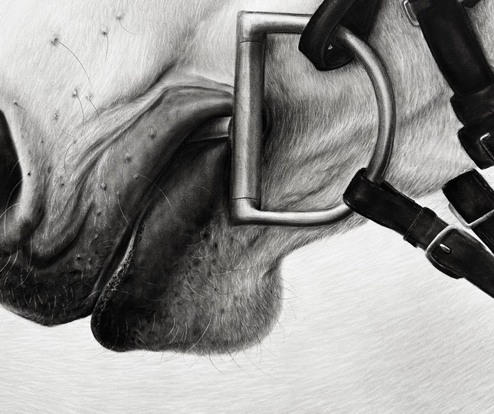 Gallery of Drawing & Painting by Kit King - Canada