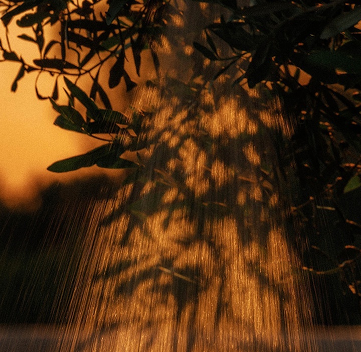 Gallery of Photography by Joe Clarke - UK