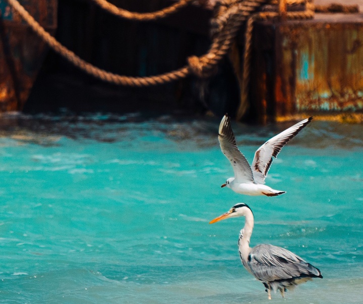 Gallery of photography by Hany Hossameldin - Egypt