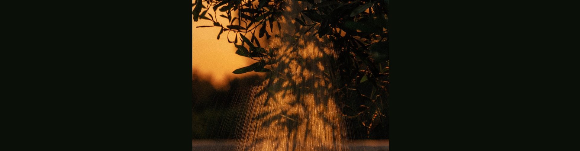 Gallery of Photography by Joe Clarke - UK