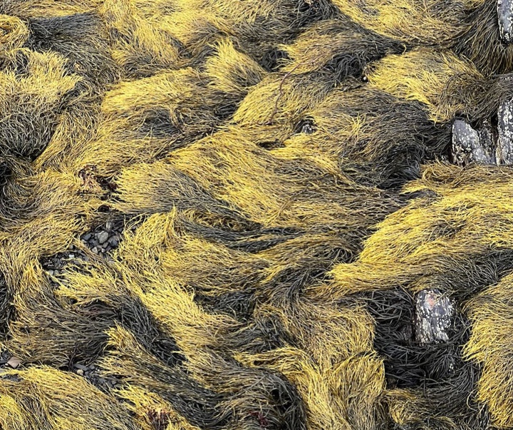 Gallery of Photography by Stephen King - Hong Kong