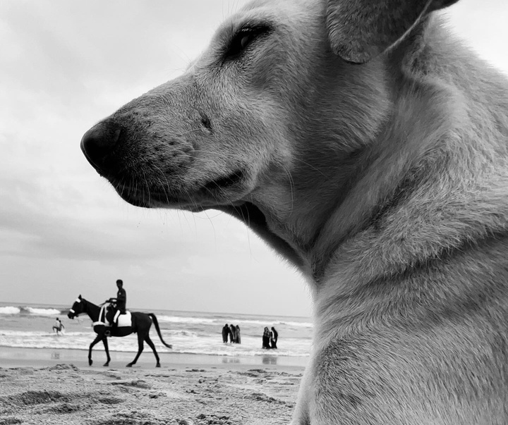 Gallery of Photography by Dimpy Bhalotia - India