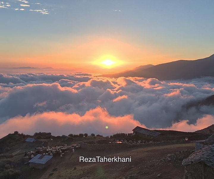 Galley of Photography from Iran by Reza Taherkhani