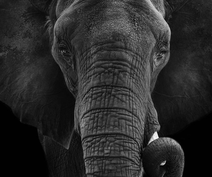 Gallery of Photography by Abbey Bratcher Parish - USA