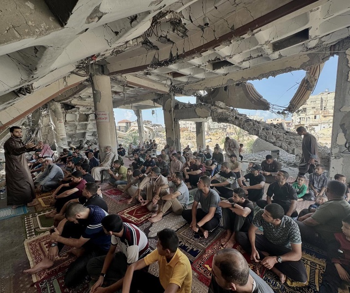 Gallery of Photography by Mohammed Jadallah Salem - GAZA
