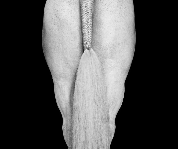 Drew Doggett
