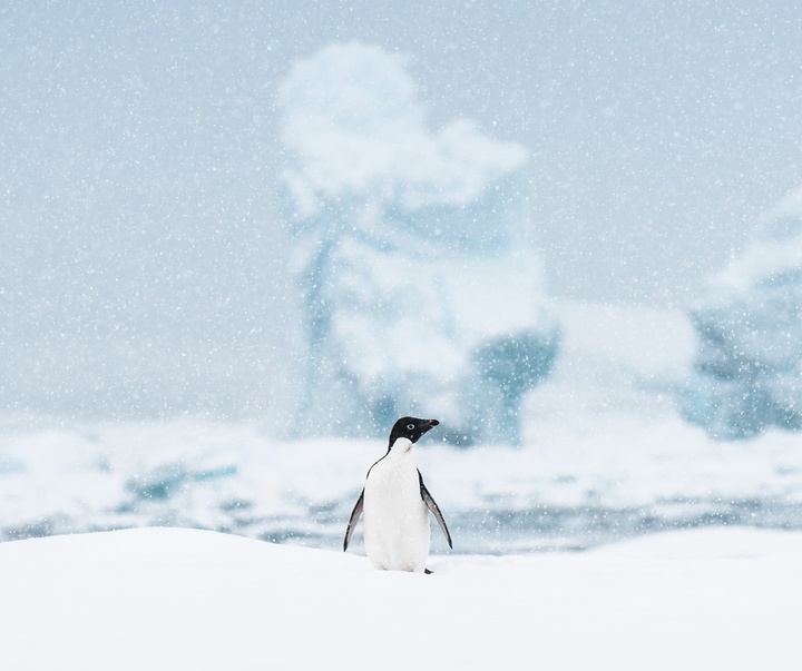 Gallery of Photography by Benjamin Hardman - Iceland