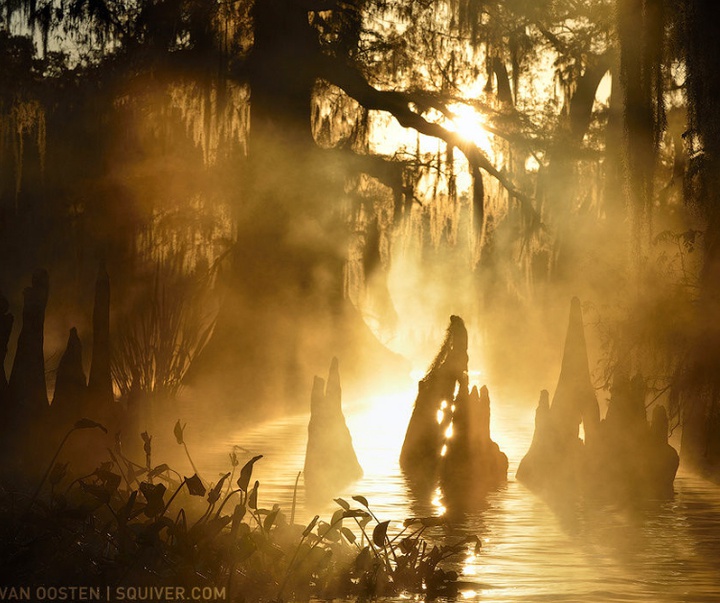 Gallery of Photography by Marsel van Oosten- Netherlands