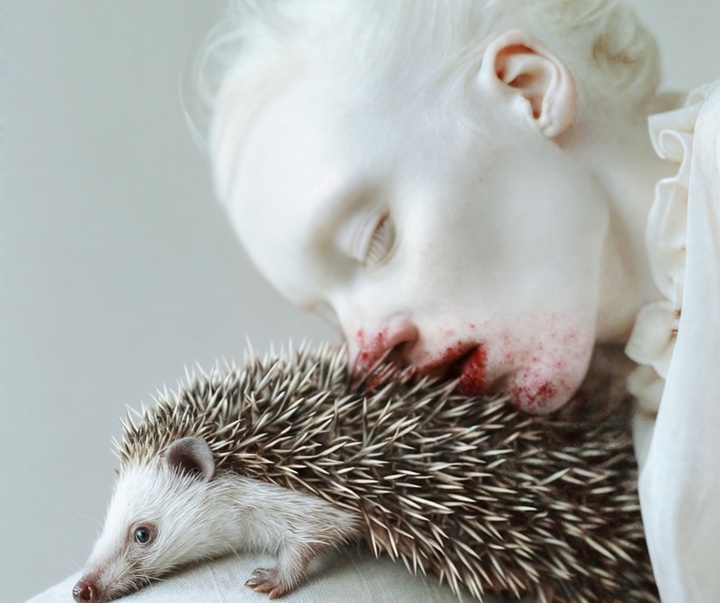 Gallery of Modern Art by Mira Nedyalkova - Bulgaria