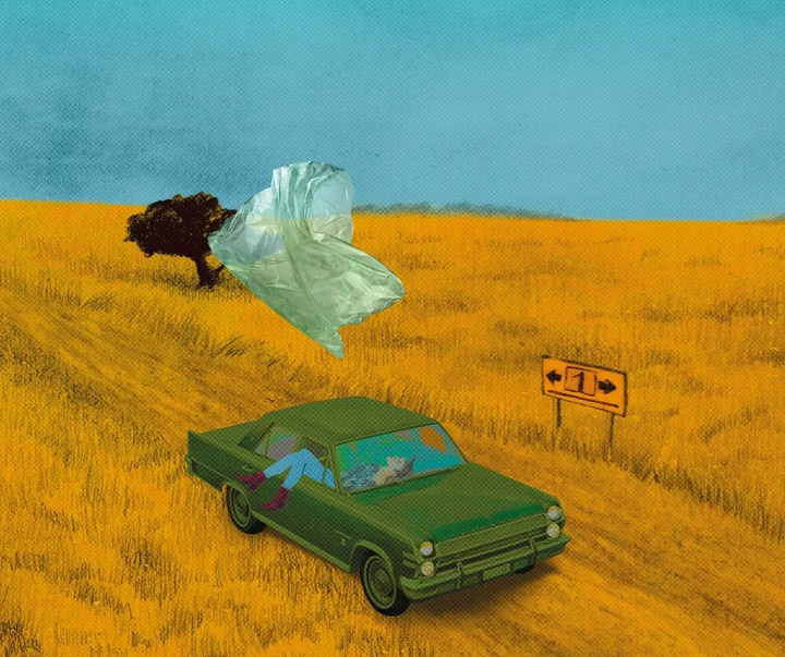 Gallery of Illustration by Sandra Marcela Restrepo - Colombia