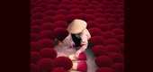 Gallery of Photography by Chris Ha - USA