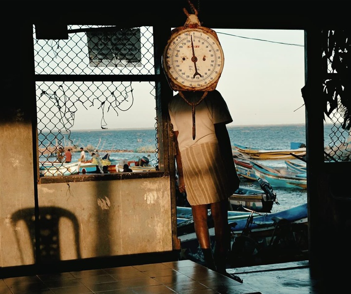 Gallery of Photography by GIl Kreslavsky