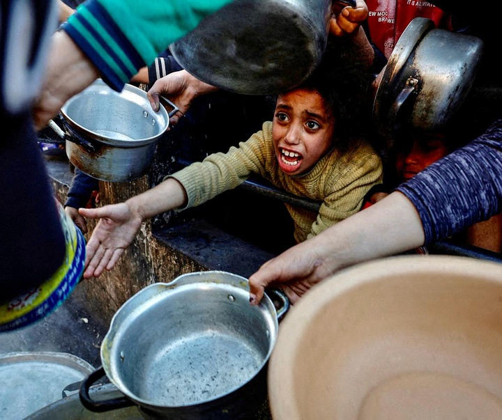 Gallery of Photography by Mohammed Jadallah Salem - GAZA