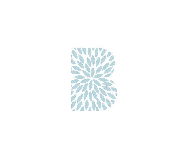 gallery of Graphics by Ramin Nasibov