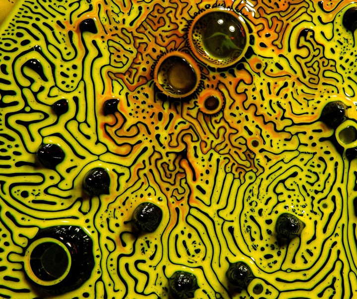 Gallery of Modern Art by Kamil Czapiga - Poland