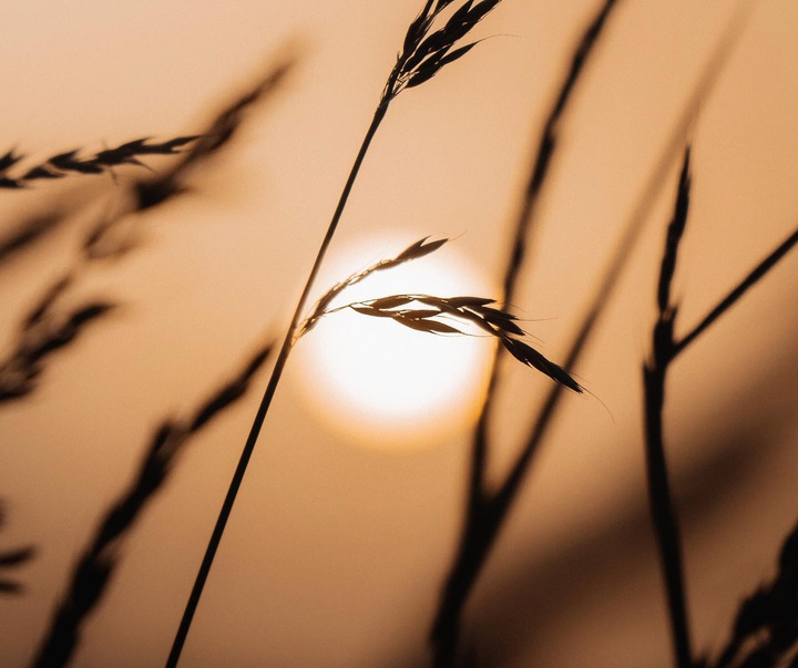 Gallery of Photography by Lawrence Walton - UK