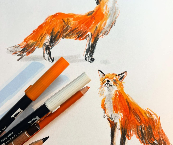 Gallery of Illustration by Jenny Bloomfield - UK