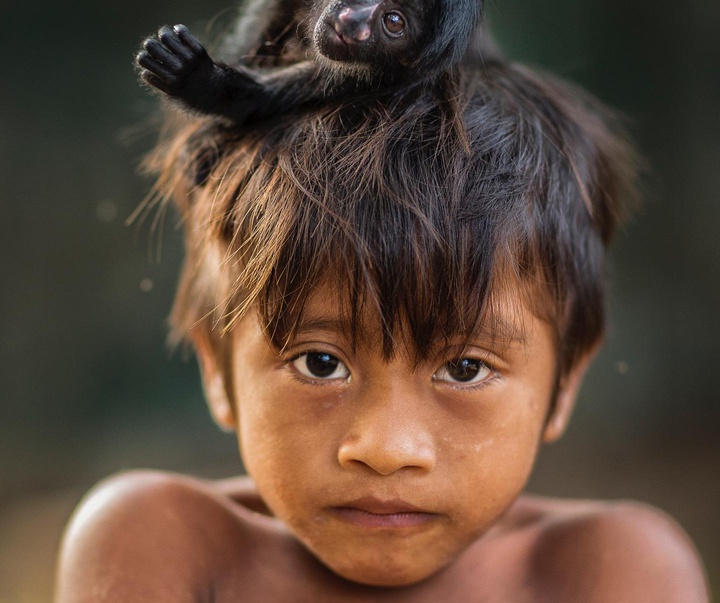 Gallery of Photography by Charlie Hamilton James - UK