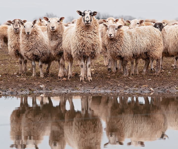 Gallery of Photography by Emma Steele