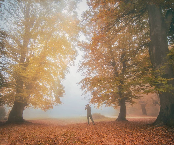 Gallery of Photography by Javad Jahanbin- Iran