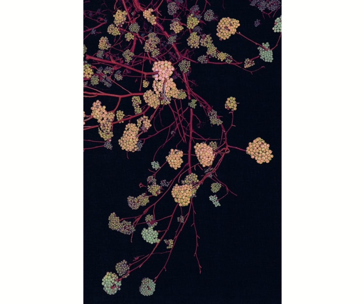 Gallery of Photography by Eva Chupikova - Slovakia