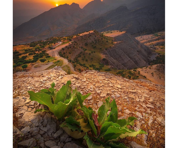 Gallery of photography by Farshad Sorkhi-Iran