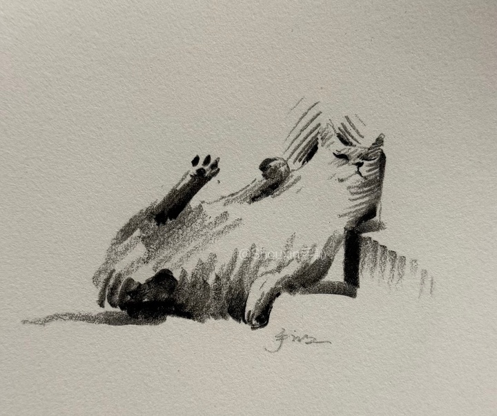 Gallery of Drawing by Shou Xin - China