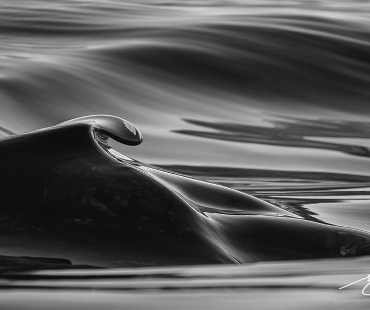 Gallery of photography by Beau Jesse Johnston-USA