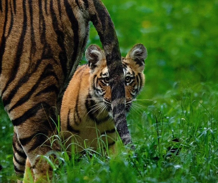 Gallery of Photography by Mithun Hunugund