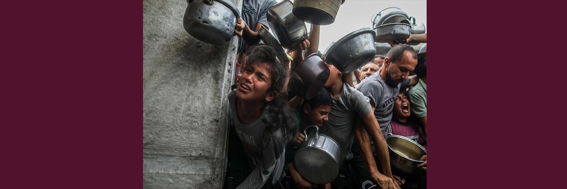 Gallery of Photography by Mohammed Zaanoun - GAZA