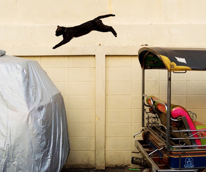 Gallery of Photography by Tavepong Pratoomwong - Thailand
