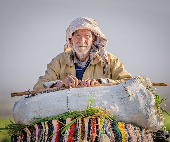 Gallery of photography by Seyed Ali Hoseinifar - Iran