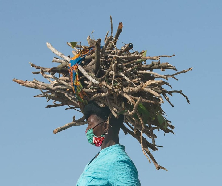 Gallery of photography by Grég. E. - Mozambique