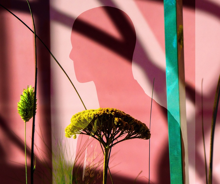 Gallery of Photography by Craig Whitehead - UK