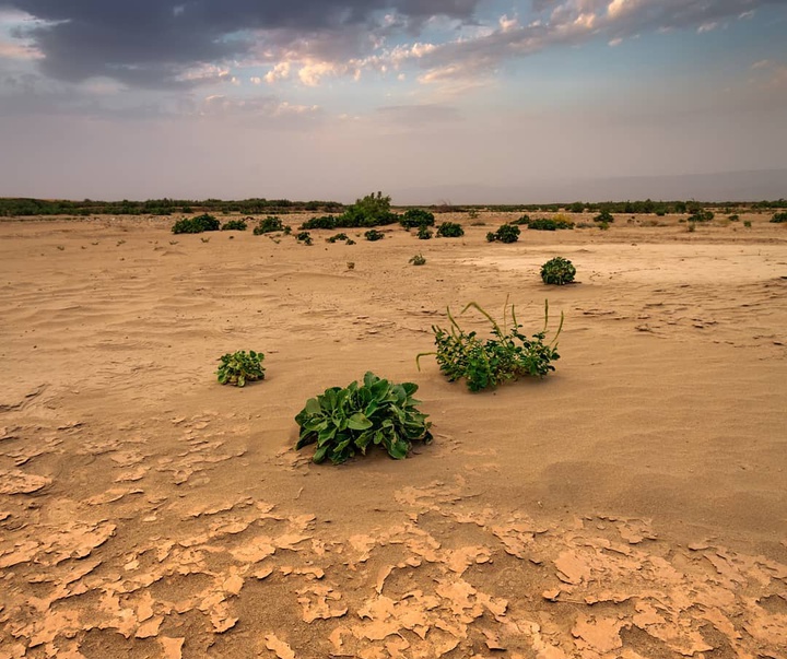 Gallery of photography by Farshad Sorkhi-Iran