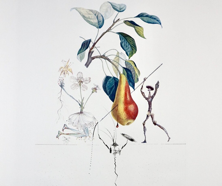 Gallery of Salvador Dali lithographs and metal engravings-Spain