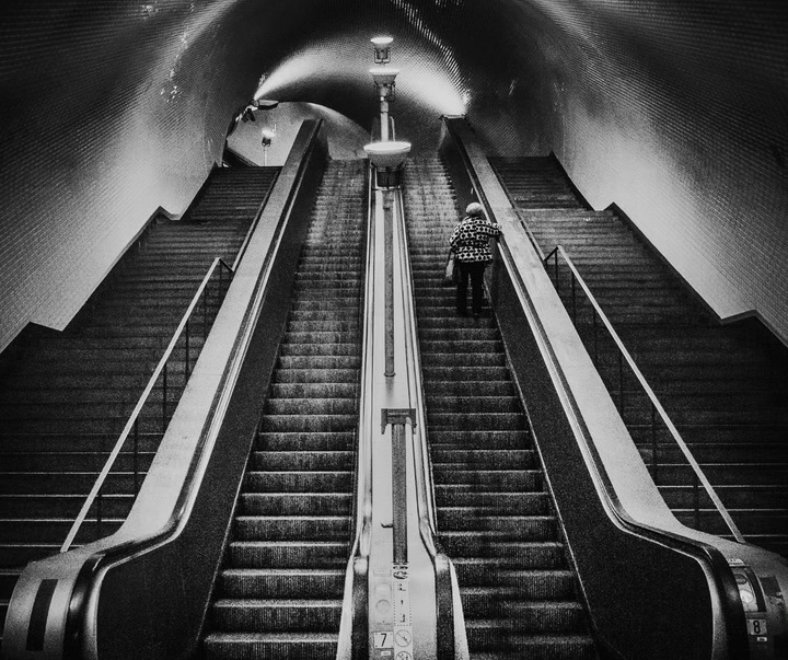 Gallery of Photography by João Cabral - Portugal