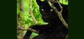 Gallery of Photography by Mithun Hunugund