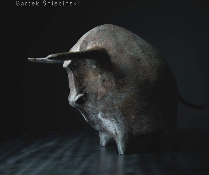 Gallery of Sculpture by Bartek Śnieciński - Poland