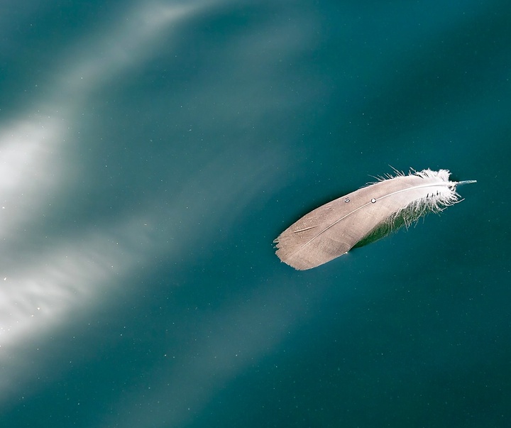 Gallery of Photography by Emma Steele