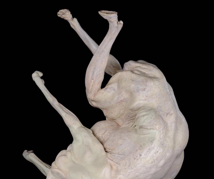 Gallery of Sculpture by Gino Lucas - Belgium