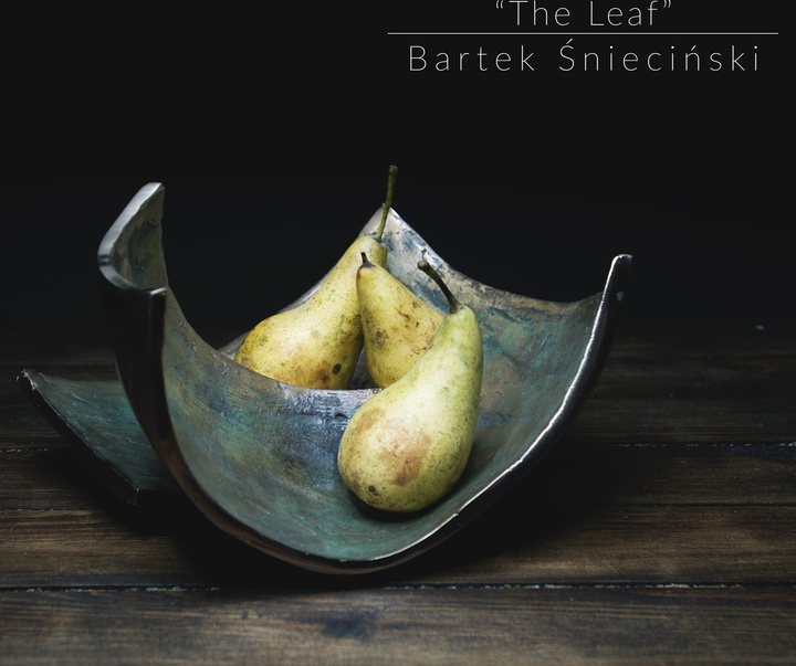 Gallery of Sculpture by Bartek Śnieciński - Poland
