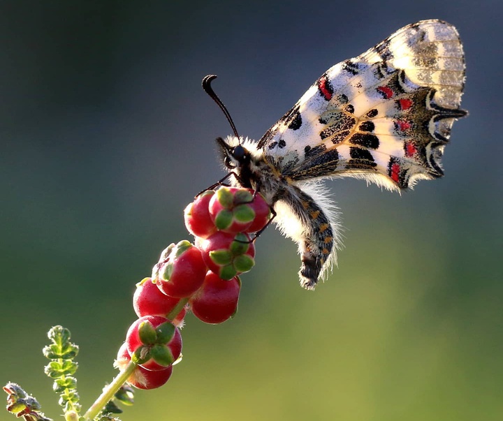 Gallery of photography by Mustafa Shahbaz - Turkey