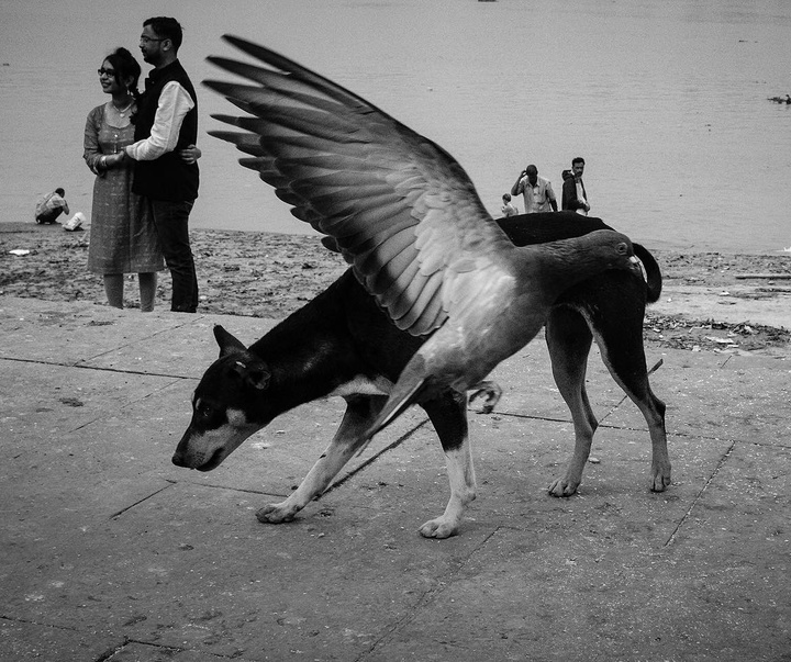 Gallery of Photography by Subhran Karmakar-India
