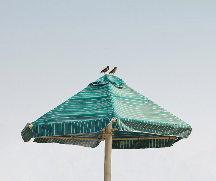 Gallery of photography by Ramleh Kargar-Iran