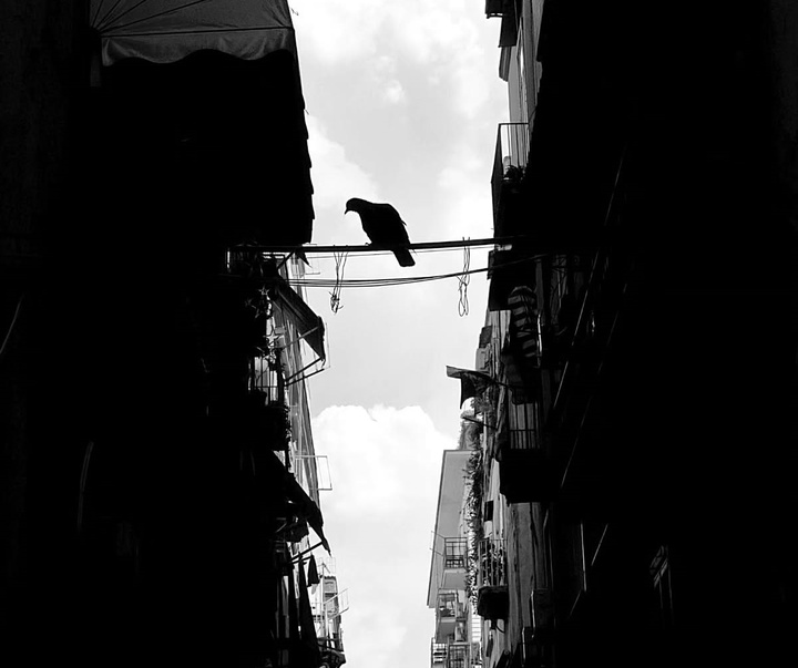 Gallery of Photography by Edgar Lascurain - Mexico