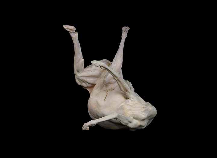 Gallery of Sculpture by Gino Lucas - Belgium