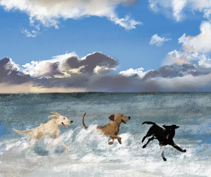 Gallery of Illustration by Jenny Bloomfield - UK