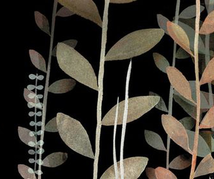 Gallery of Illustration by Jon Klassen - Canada